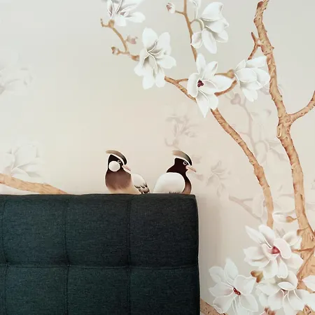 Altstadt Idylle Apartmán *